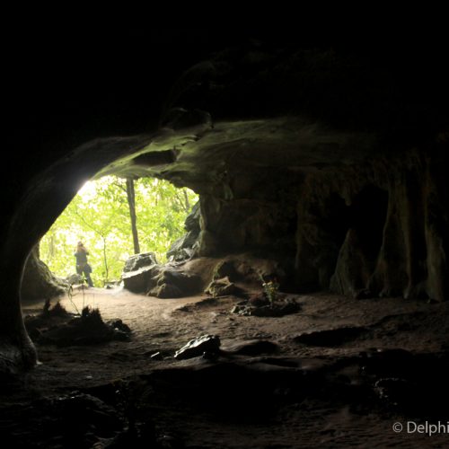 Caves Ninh Binh