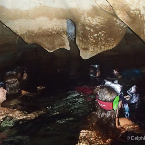Cave Trip