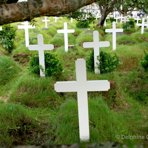 Cimetery Iceland