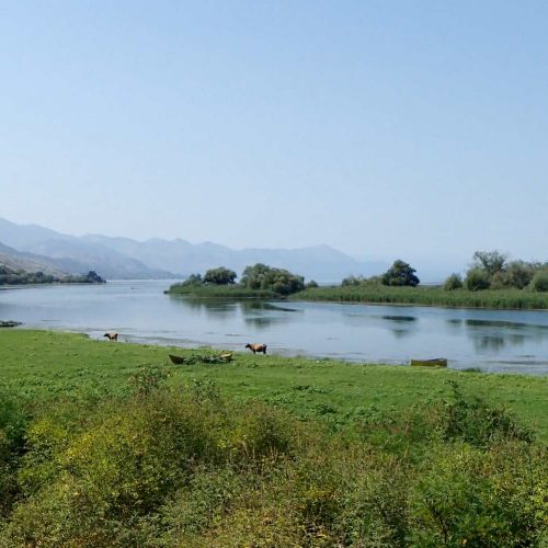 Albania Lake Border With Montenegro