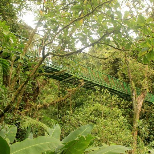 Bridge canopy