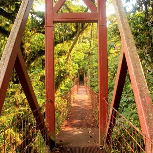 Bridge Monteverde