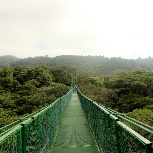 Long walking bridge
