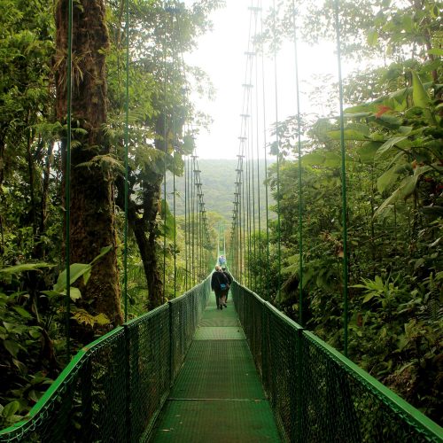 Hight Bridge Monteverde